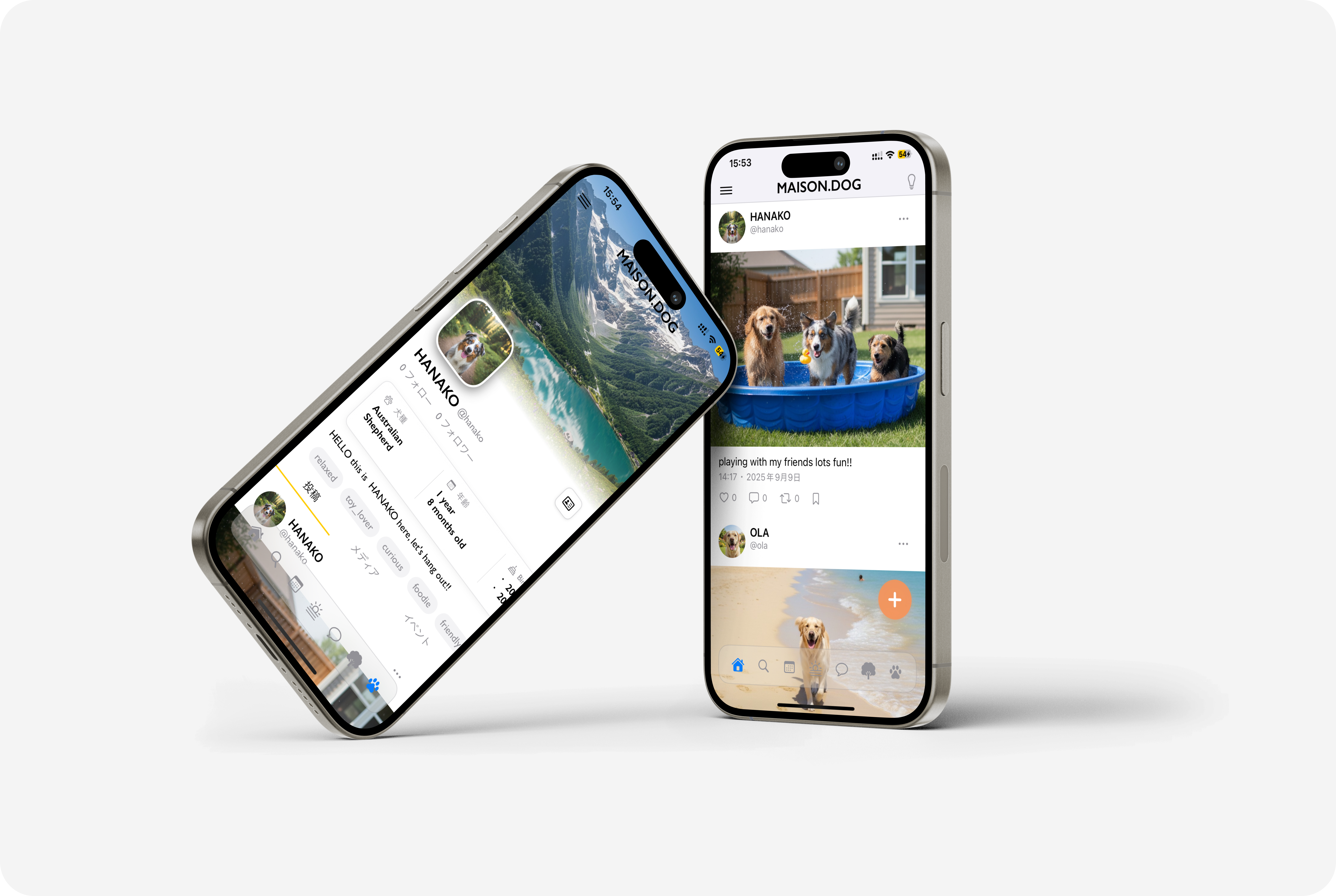 MAISON.DOG メイン画面